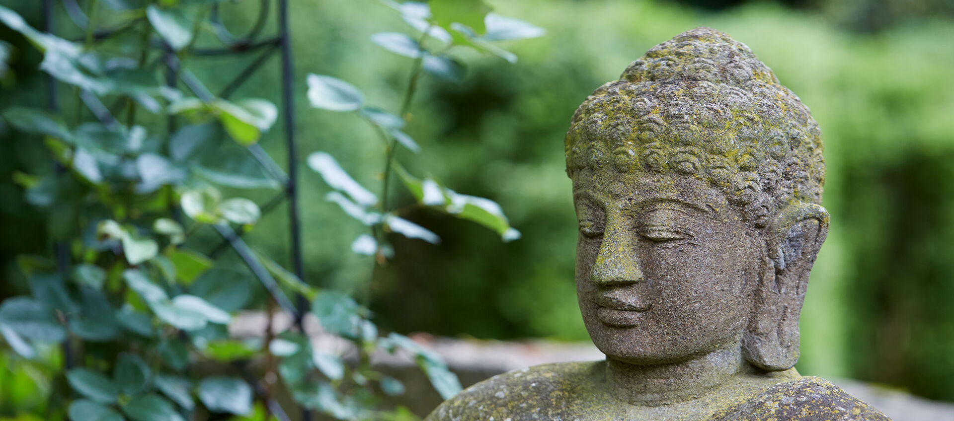 Steinerne Buddha-Statue im grünen Garten