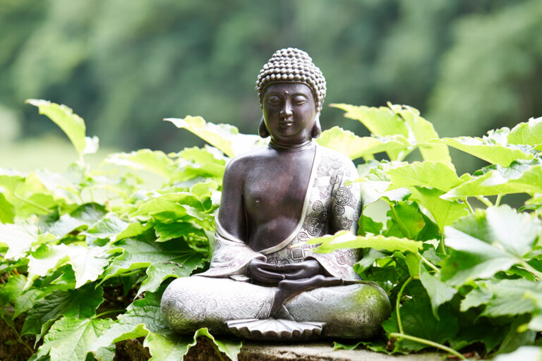Meditierende Buddha-Figur zwischen grünen Blättern
